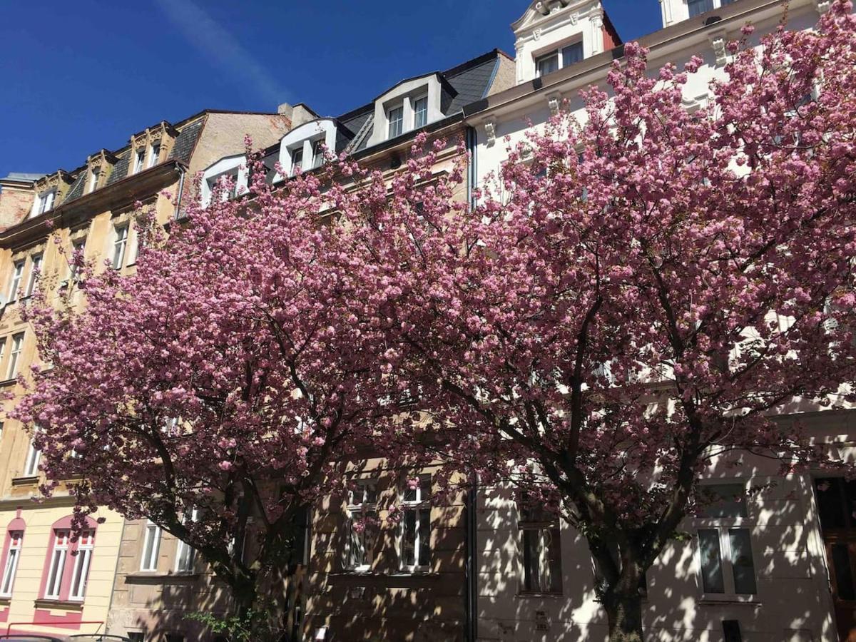 Apartmány Jízdárenská Karlovy Vary Exterior foto